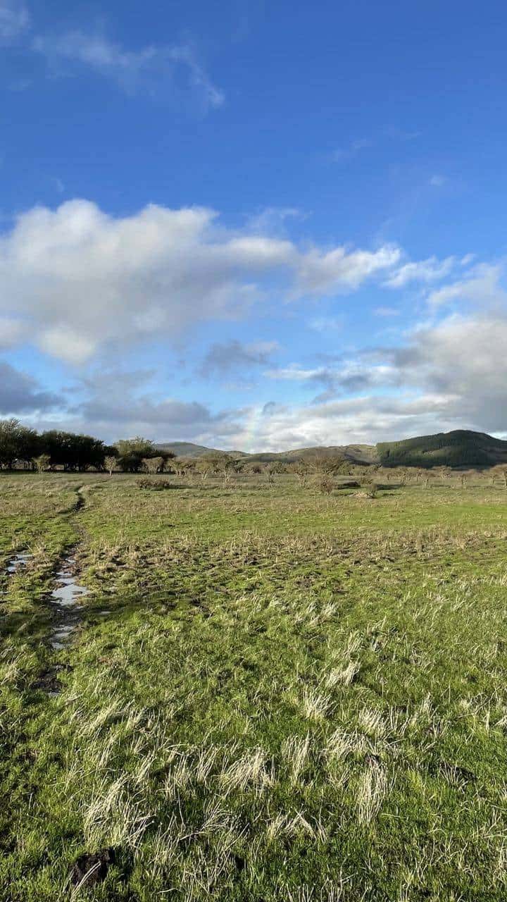 Invierno en Cauquenes