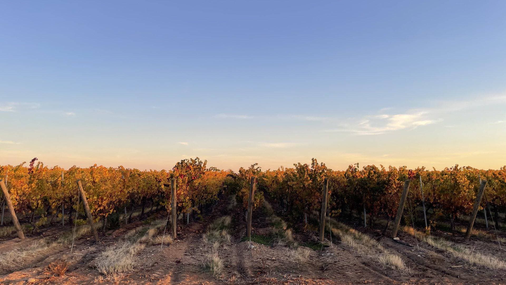 Vista principal de Cauquenes