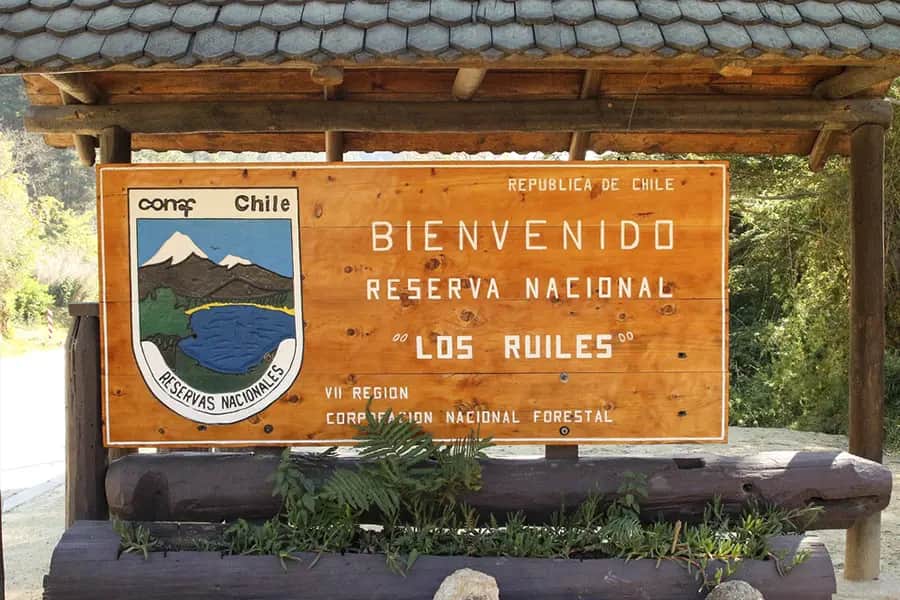 Reserva nacional los ruiles