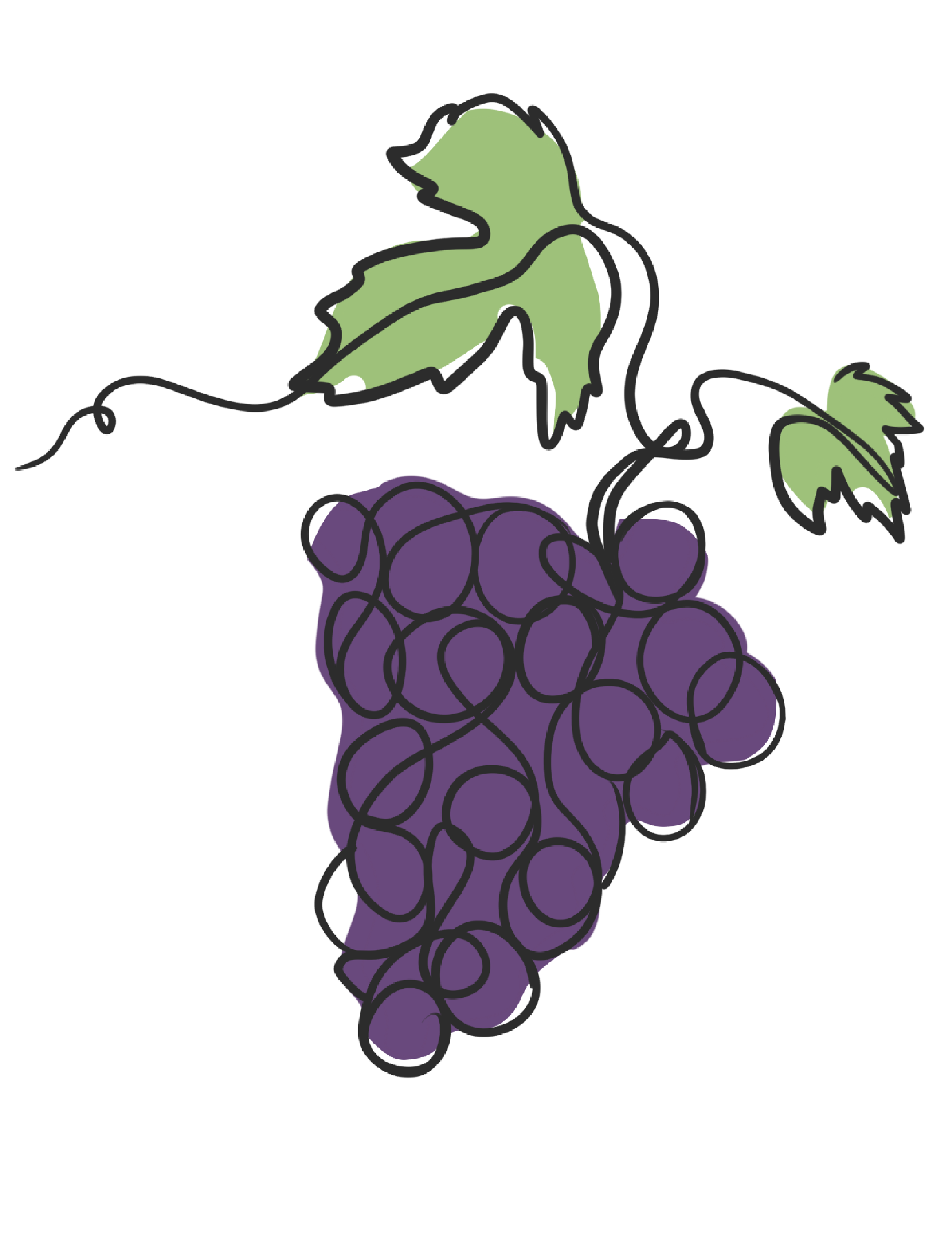 Vista de Vina Patrimonio Chanco